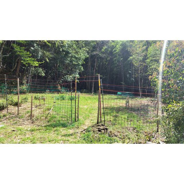 山県市大桑の一戸建てのその他|畑2