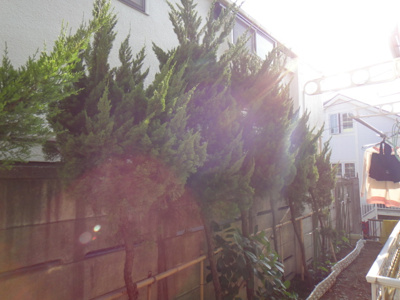【その他】 | ベルシオン中町