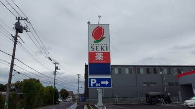 【周辺】 | レオネクストペンタス