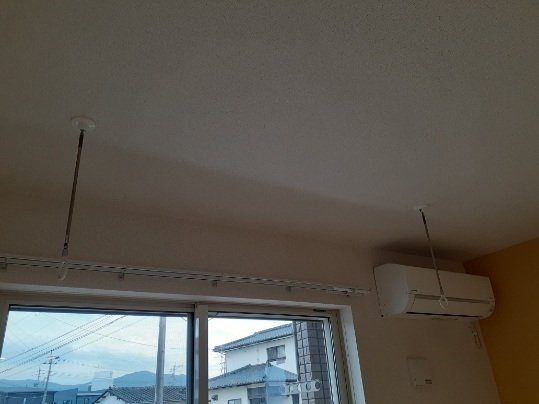 ブルゴーニュＢのその他