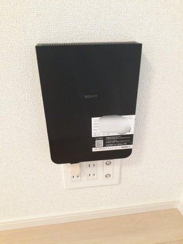 ローズマリーのその他
