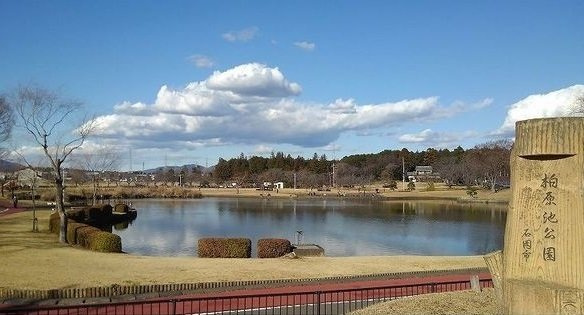 マーベラス・ガーデン　Ｂの周辺|柏原池公園まで1200m
