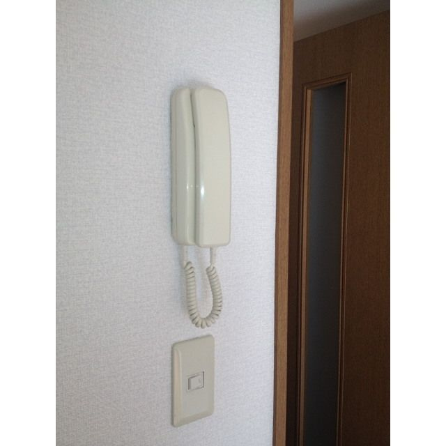 アムール椿のセキュリティ