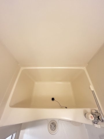 プレサンス淀リーヴァの浴室