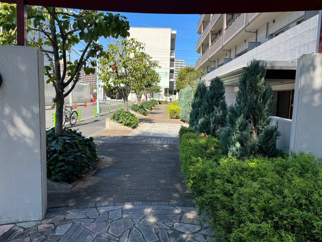 マンション敷地内