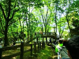 【周辺】 | 【ご内覧頂けます】クラッシィハウス世田谷公園 | 世田谷公園