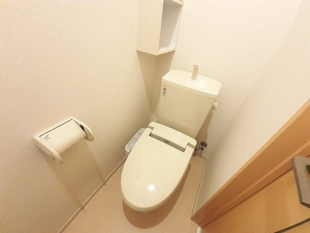 プラシードのトイレ