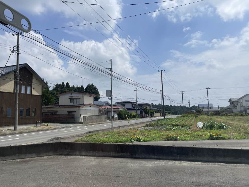 グレイハウスのその他