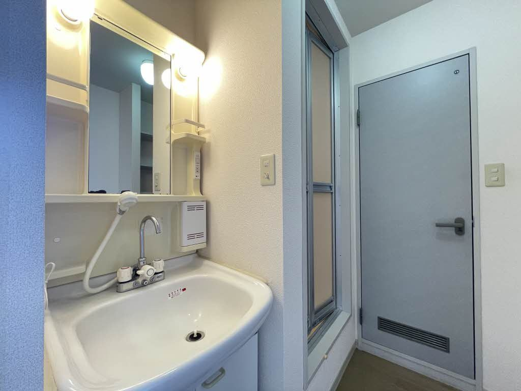 ディアス桜屋敷の洗面所