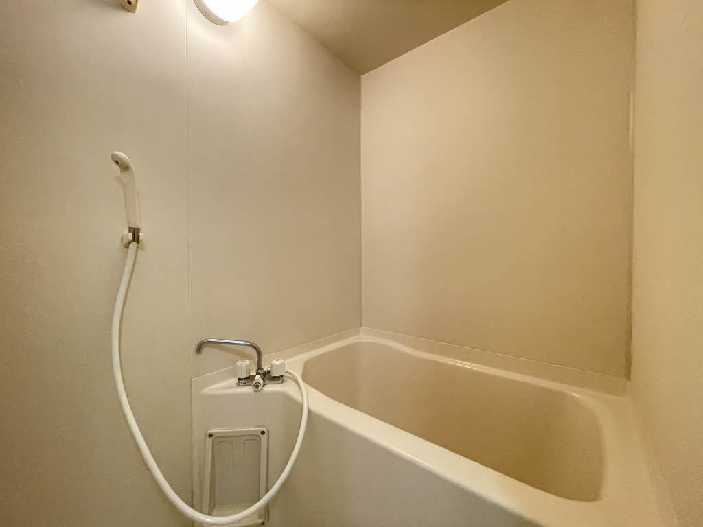 ディアス桜屋敷の浴室