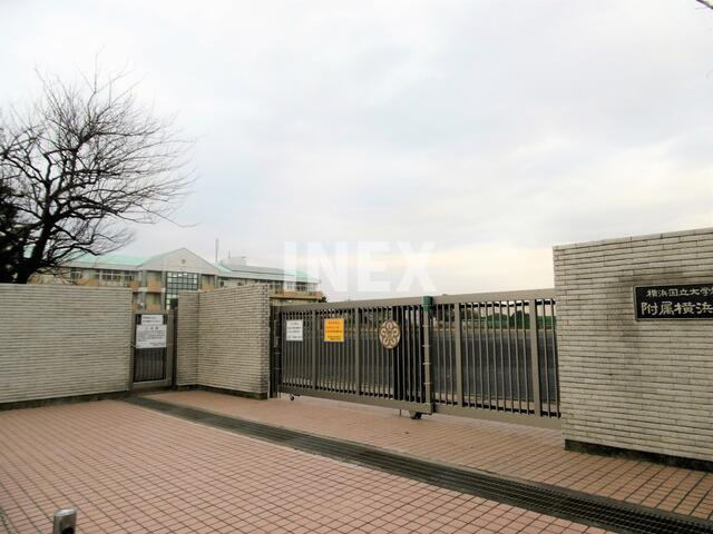 横浜市中区立野の一戸建ての周辺|国立横浜国立大学教育学部附属横浜小学校まで176m