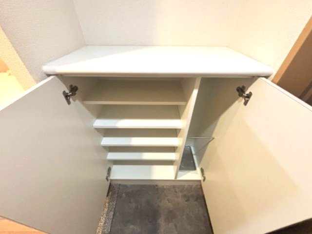 レジディア三宮東の収納