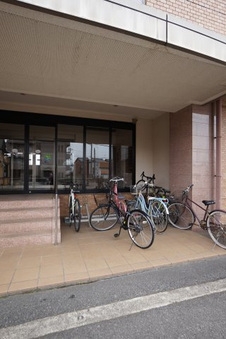 カーサー・アレグラのその他共用部分