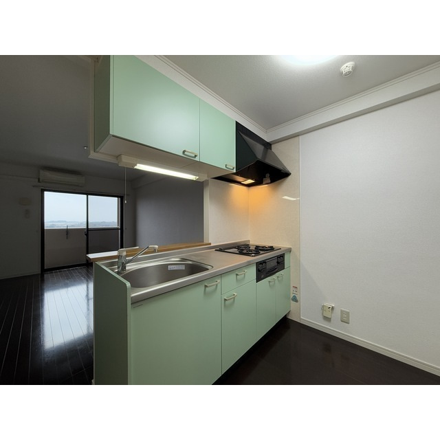 菊池郡菊陽町大字津久礼の賃貸マンションのキッチン