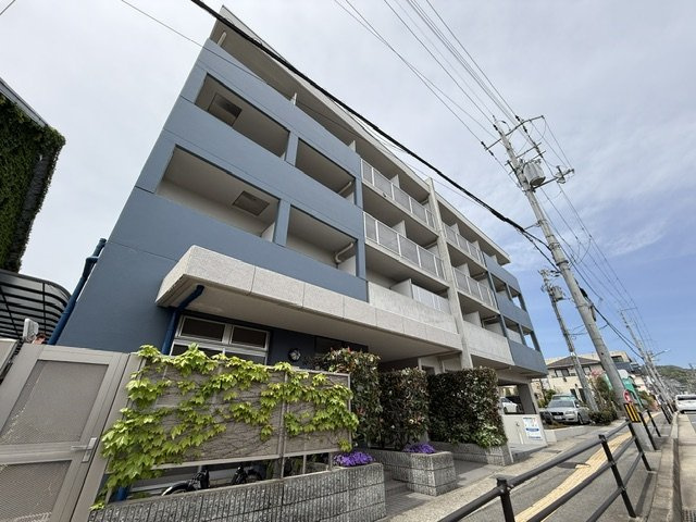 デュンケル・ブラウ