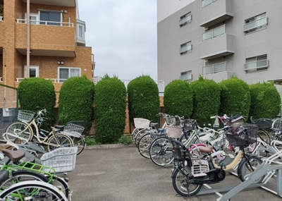 【中庭】 | ライオンズマンション相武台前 | 中庭（パティオ）とは、一つの建築物の内部に設けられた、壁などで囲われている庭のことを指します。コの字型、ロの字型が主流ですが、L字型の中庭もあります。最近では、インテリア性の高さからも人気があります。