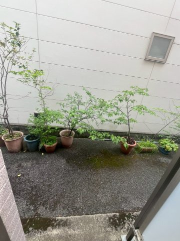 【展望】
