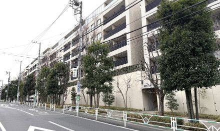 センチュリーフォレスト