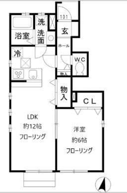 フェリセス・コヒナタの画像