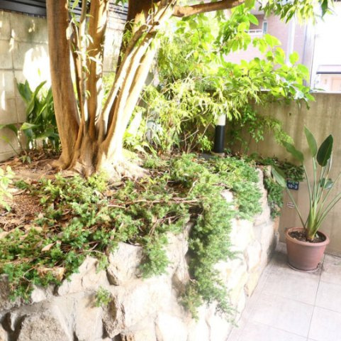岡本Ｒｄ１２の庭