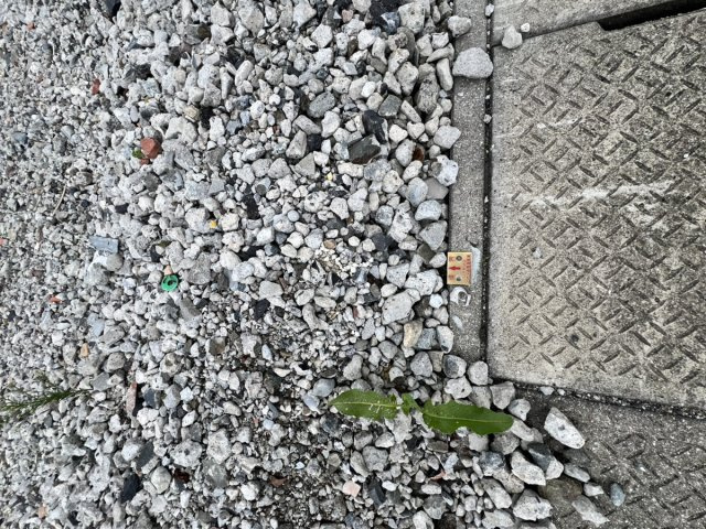 古閑中町土地の地図