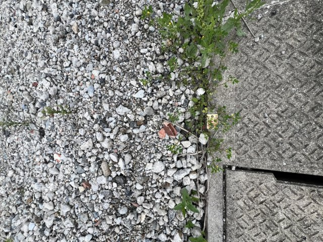 古閑中町土地の周辺