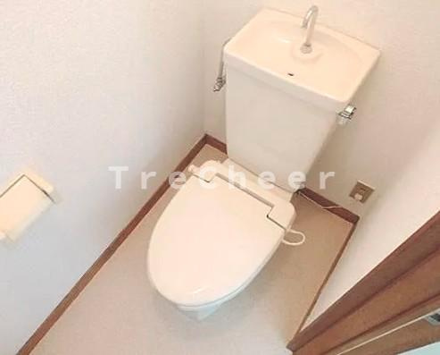 大橋ハイムのトイレ