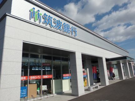 プリムローズⅡ参番館の周辺|その他