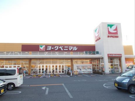 プリムローズⅡ参番館の周辺|その他