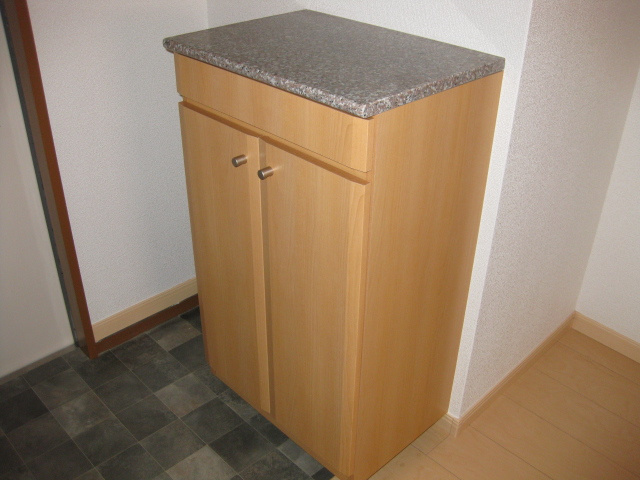 エルディムＱの玄関|玄関