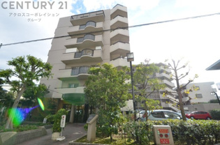 事前見学予約受付中です。ご予約はネットからが便利です♪
