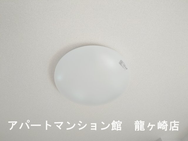 シェノンのその他