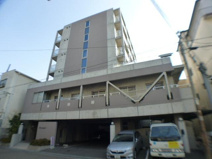 M's courtの画像