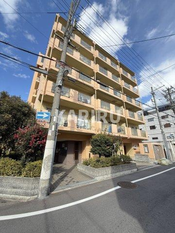 レーゼンハイムⅡ 