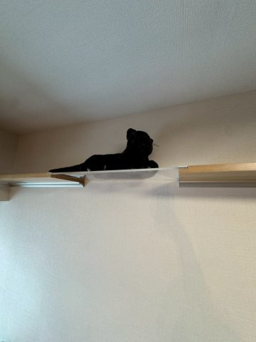 LAGALAND+猫 MIYAKOJIMAの設備