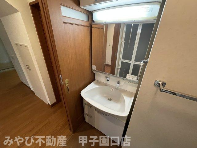 メゾン金澤の洗面所
