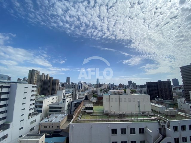 ザ・パークハビオ谷町六丁目テラスの展望|ザ・パークハビオ谷町六丁目テラス　眺望