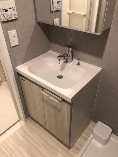 メイクス錦糸町の洗面所