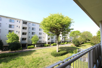 【展望】 | 大山口住宅 | 前面棟と距離があり開放感があります！緑豊かな住環境！