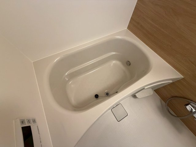 Louis Residence弁天町の浴室