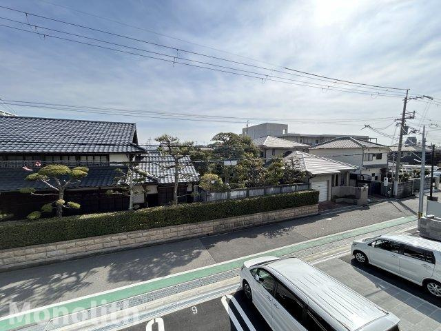 TIMBER BROOKの展望