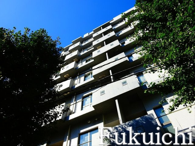 ホワイトフロント