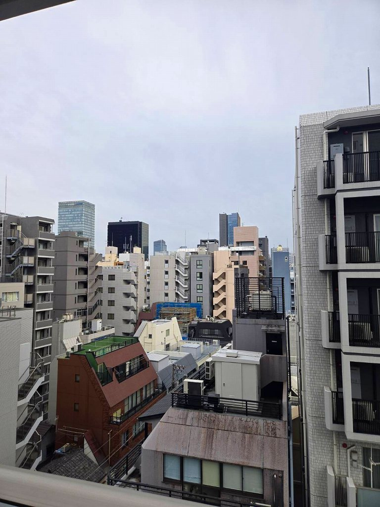 LUMIEC BUNKYO YUSHIMAの展望