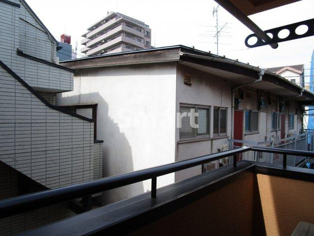 【展望】 | パームグローヴ
