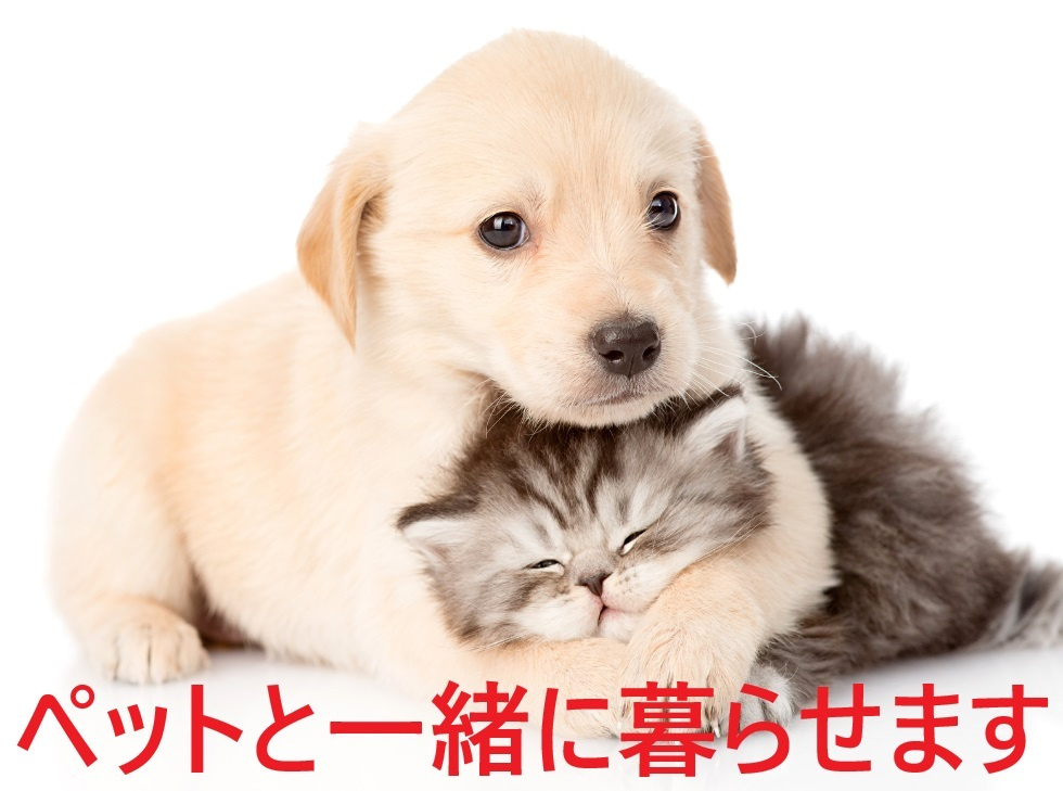 泉区岡津町のその他|お庭でペットと一緒に遊べますね。