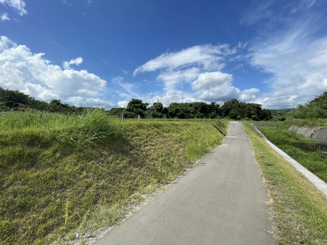 朝倉市山田　売り土地の前面道路含む現地写真|前面道路含む現地写真です