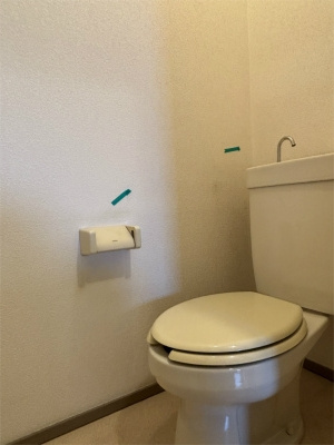 グリーンハイム寿のトイレ