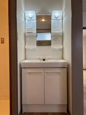 グリーンハイム寿の洗面所