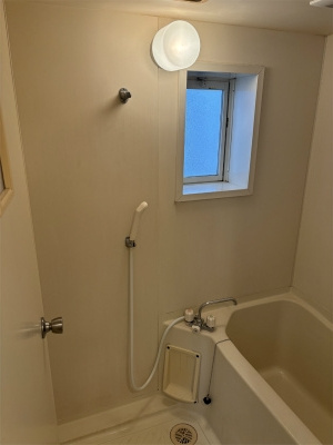 グリーンハイム寿の浴室