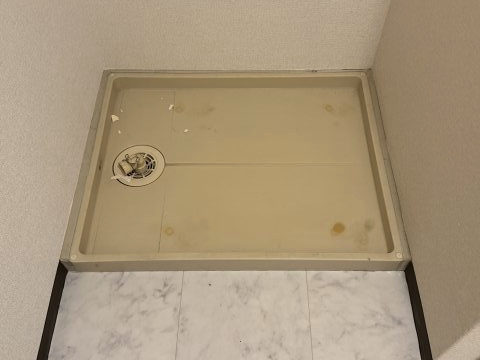フラッツネオシティーのその他
